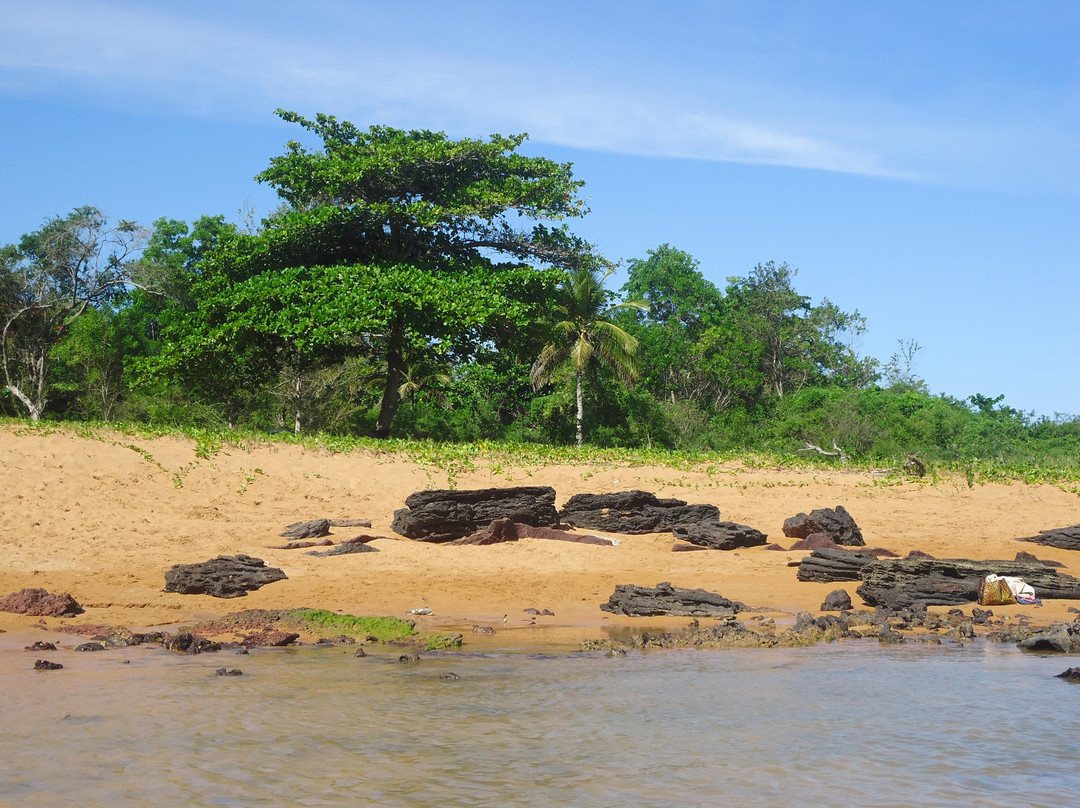 Praia de Coqueiral景点图片