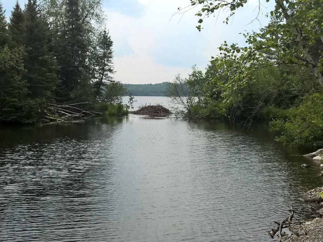 Bass Lake Trail-伊利必去景点