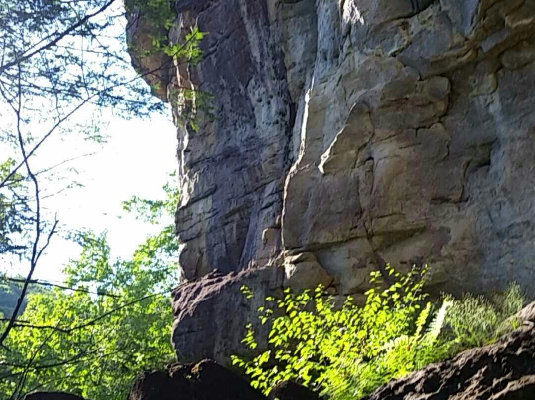 Bad Branch State Nature Preserve-Whitesburg必去景点