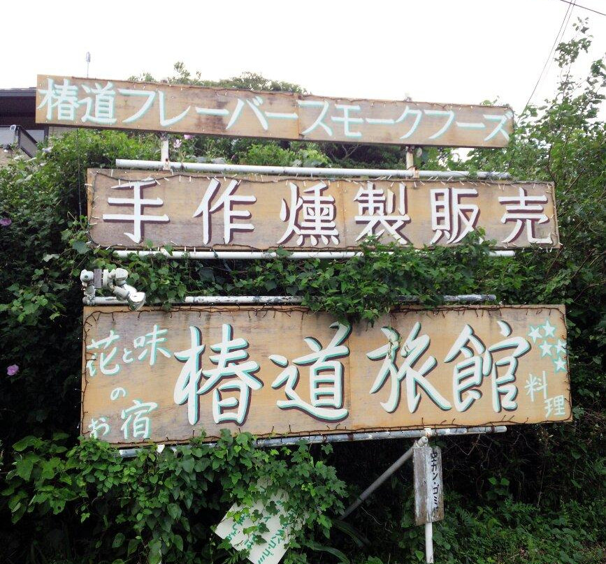 Tsubakido Ryokan主图