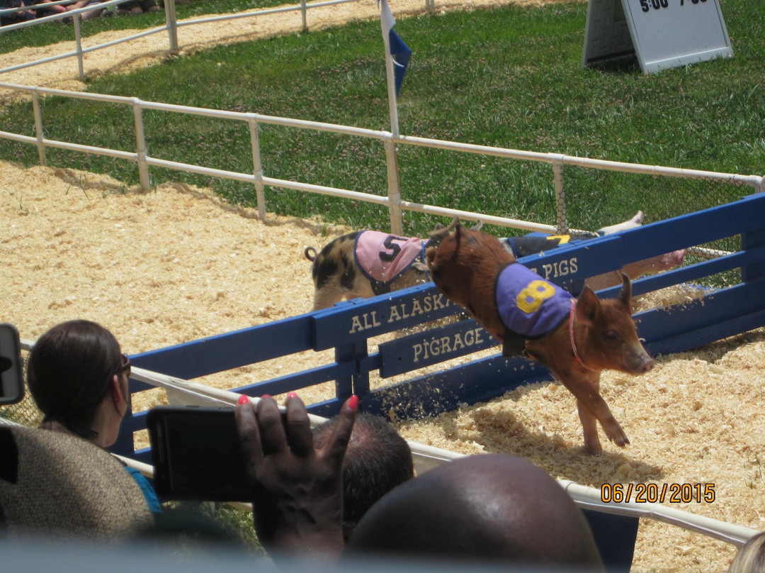 Alameda County Fairgrounds-普莱森顿必去景点