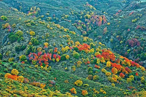 Al Andalus PhotoTour-Gorafe必去景点