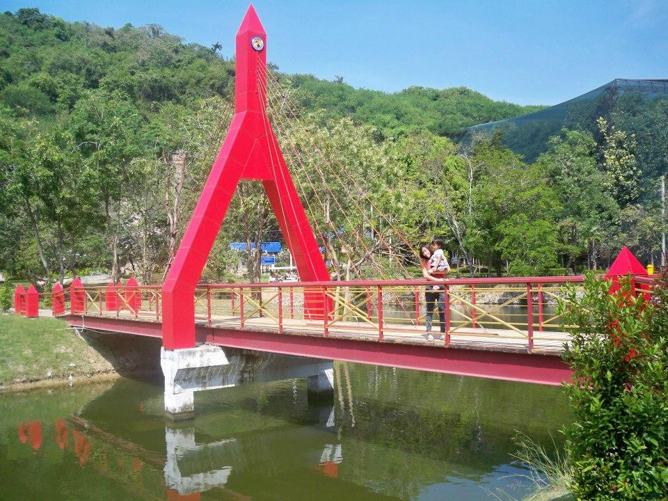 Chainat bird park-猜纳必去景点
