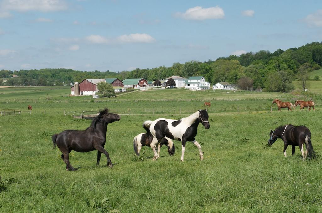 Hershberger's Farm & Bakery-Millersburg必去景点