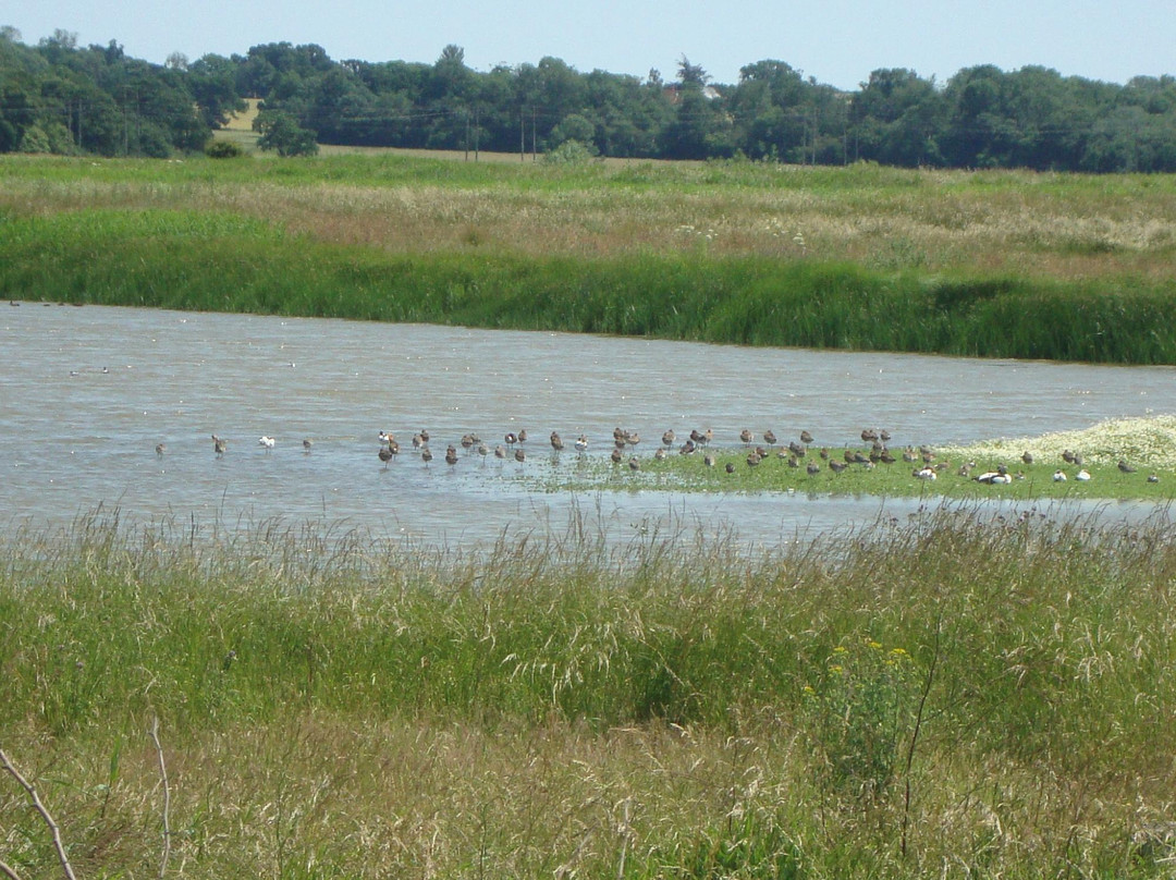 Suffolk Wildlife Trust at Trimley Marshes-Trimley St. Martin必去景点