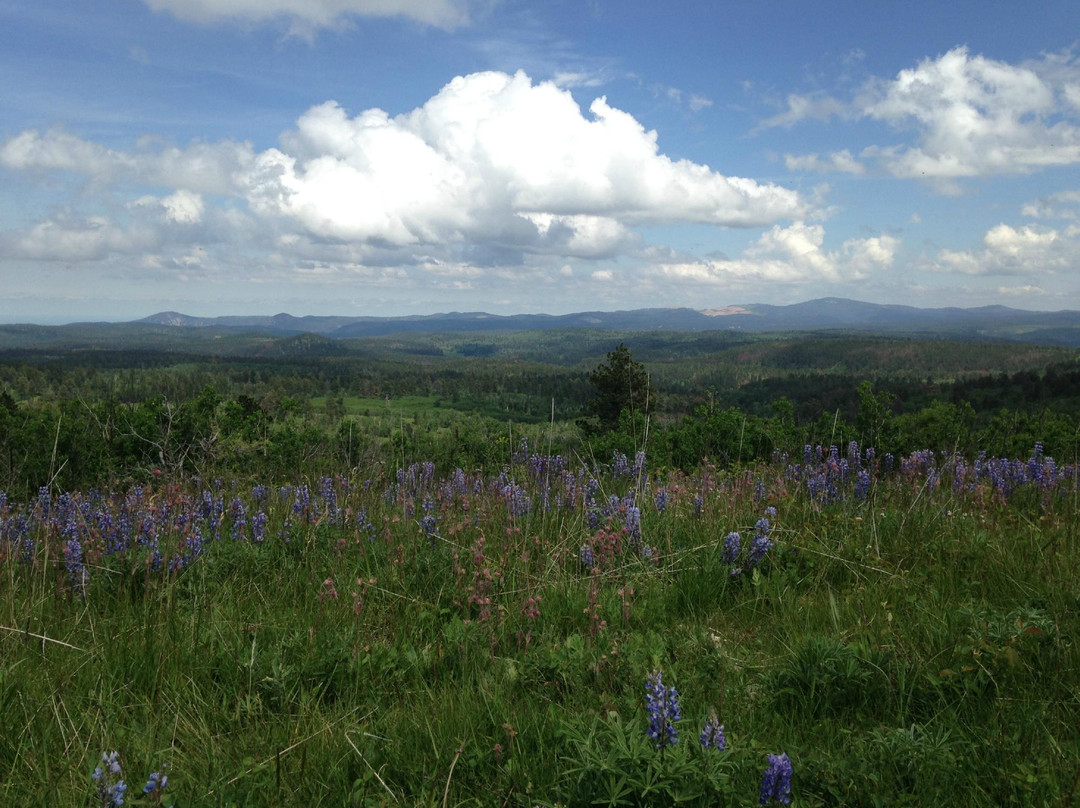 Cement Ridge Lookout-Sundance必去景点