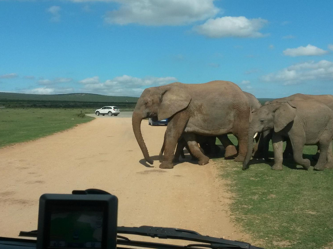 Africa Explore Safaris-开普敦必去景点