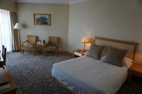 皇苑大酒店-客卧