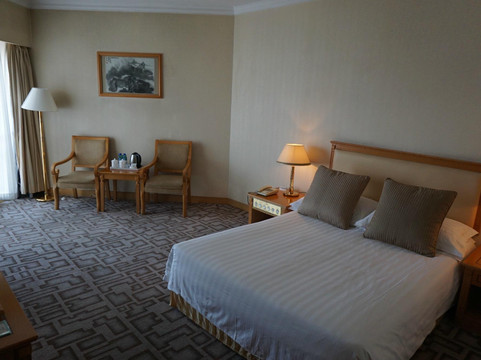 皇苑大酒店主图