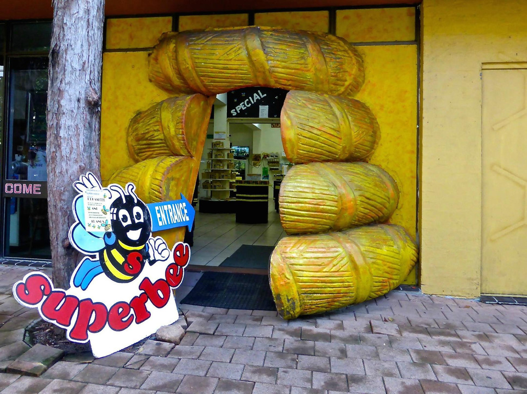 超极蜜蜂博物馆景点图片