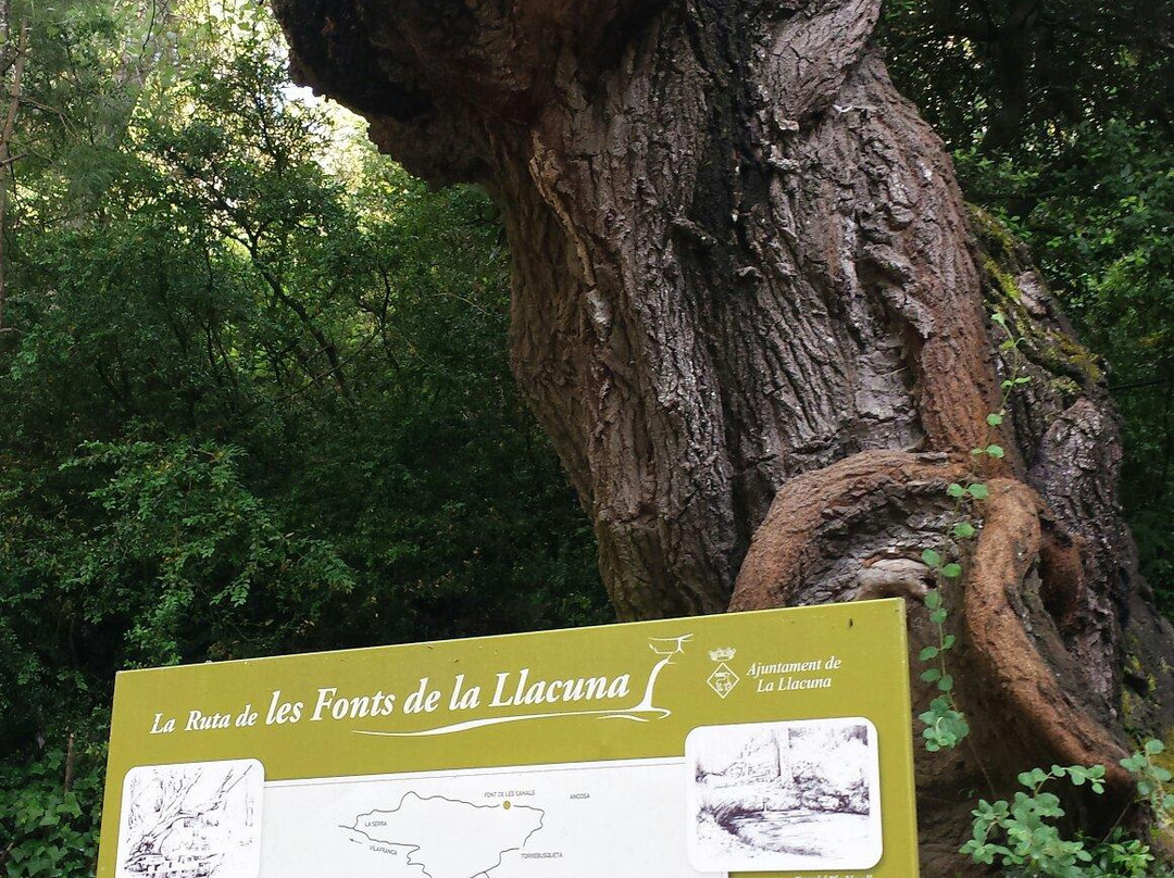 La Llacuna旅游攻略图片