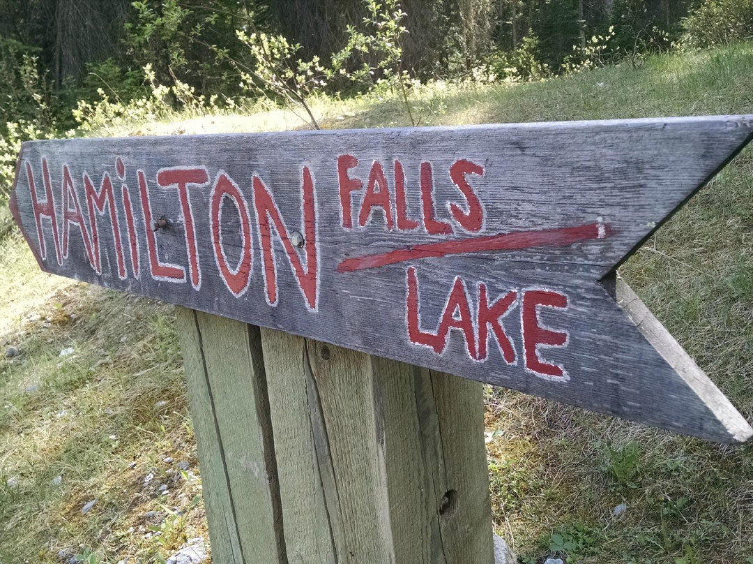 Hamilton Falls景点图片