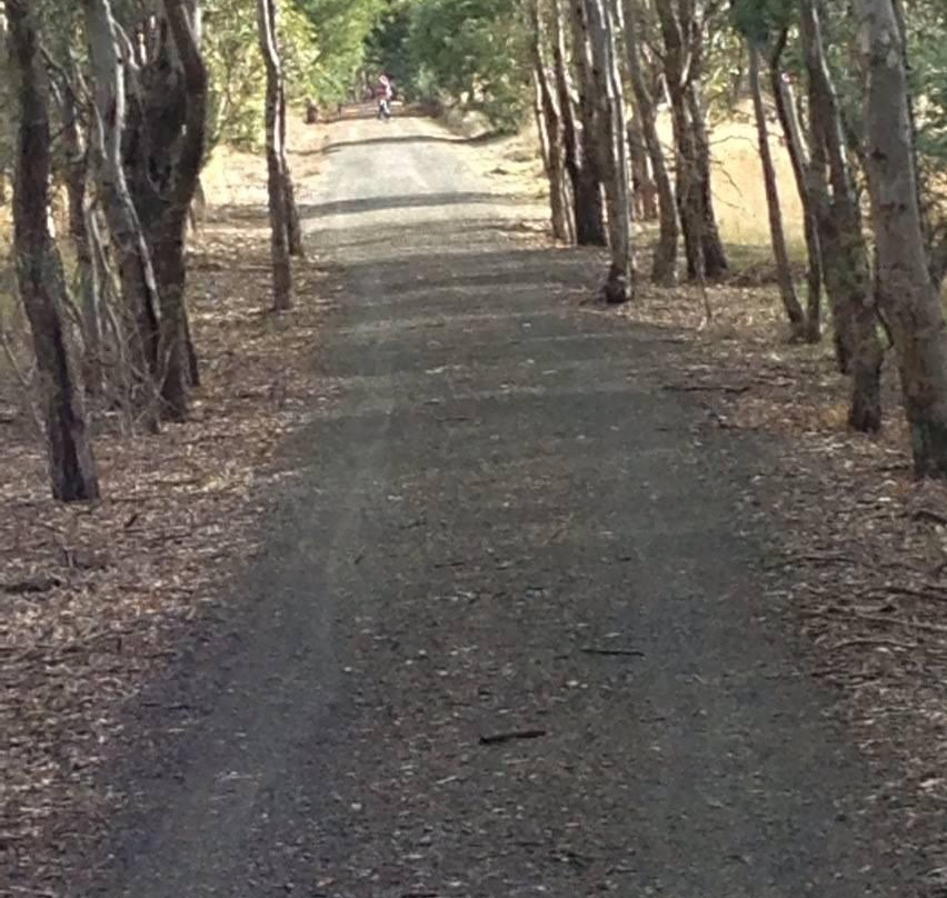 Rail Trail Bike Tours-曼斯菲尔德必去景点