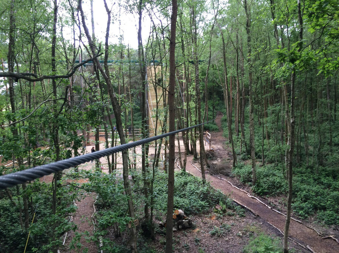 Branching Out Adventures景点图片