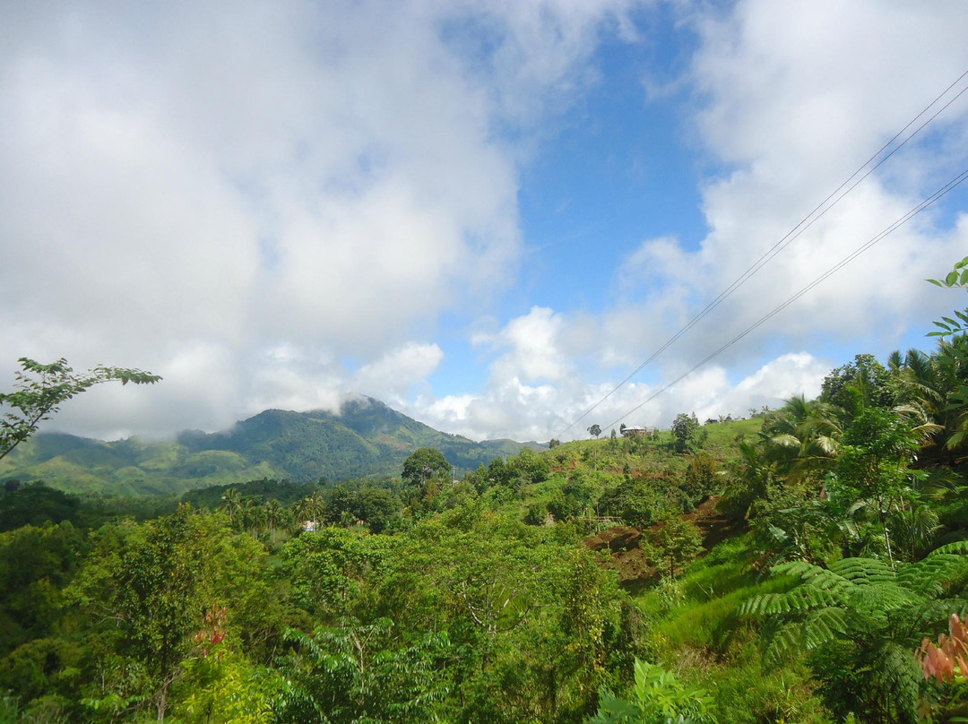 Ang Tribu Bagobo Woodlands主图