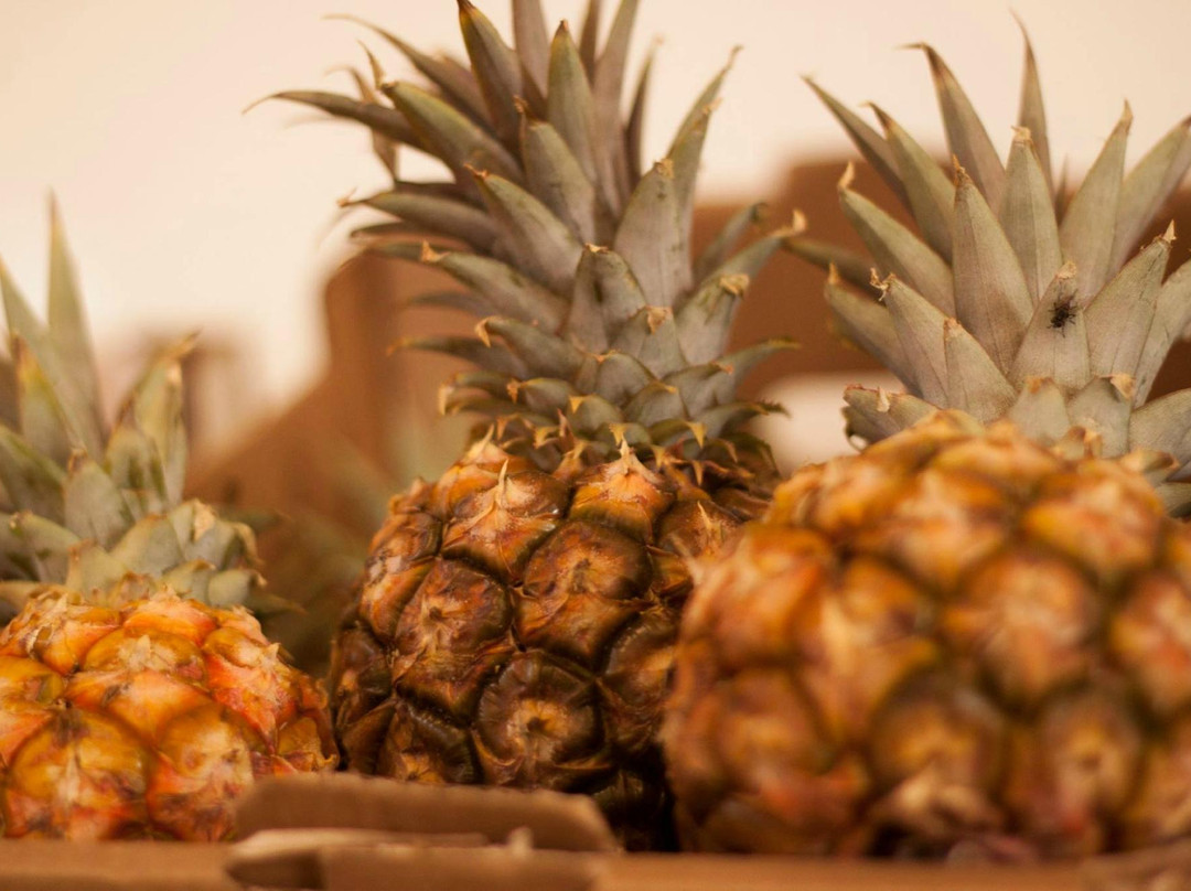 Mercado Parque La Reina-阿罗纳必去景点