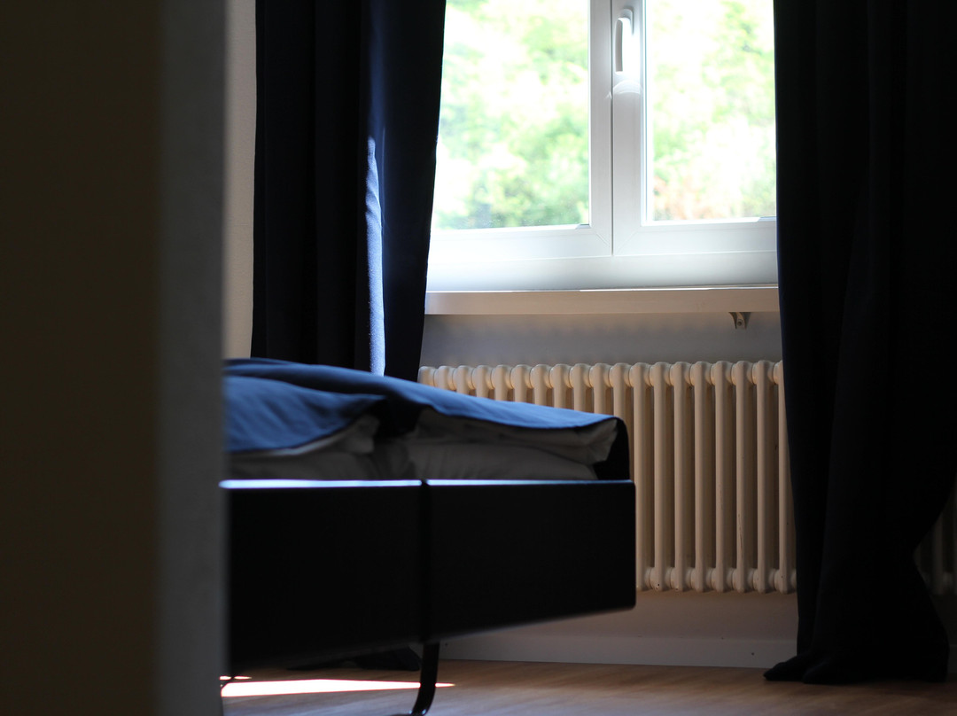 Gasthof Zum Schutzen Hotel主图