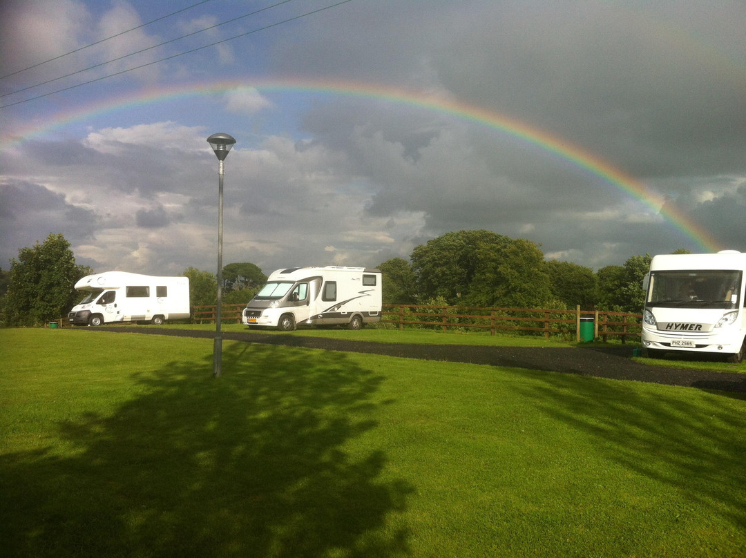 Tree Grove Camping Park