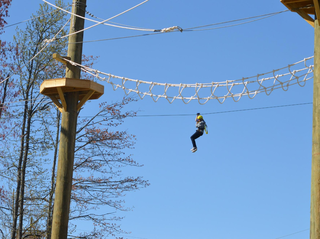Kersey Valley Zip Line景点图片