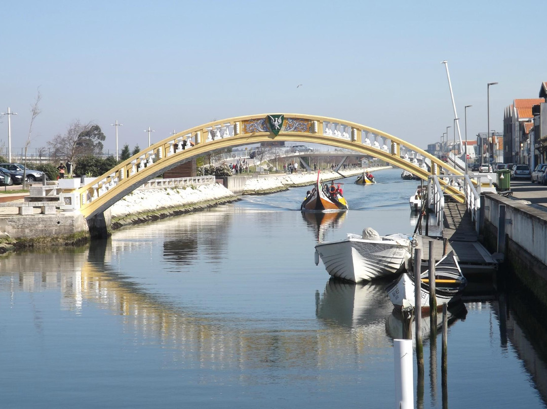 Aveiro Walk Around景点图片
