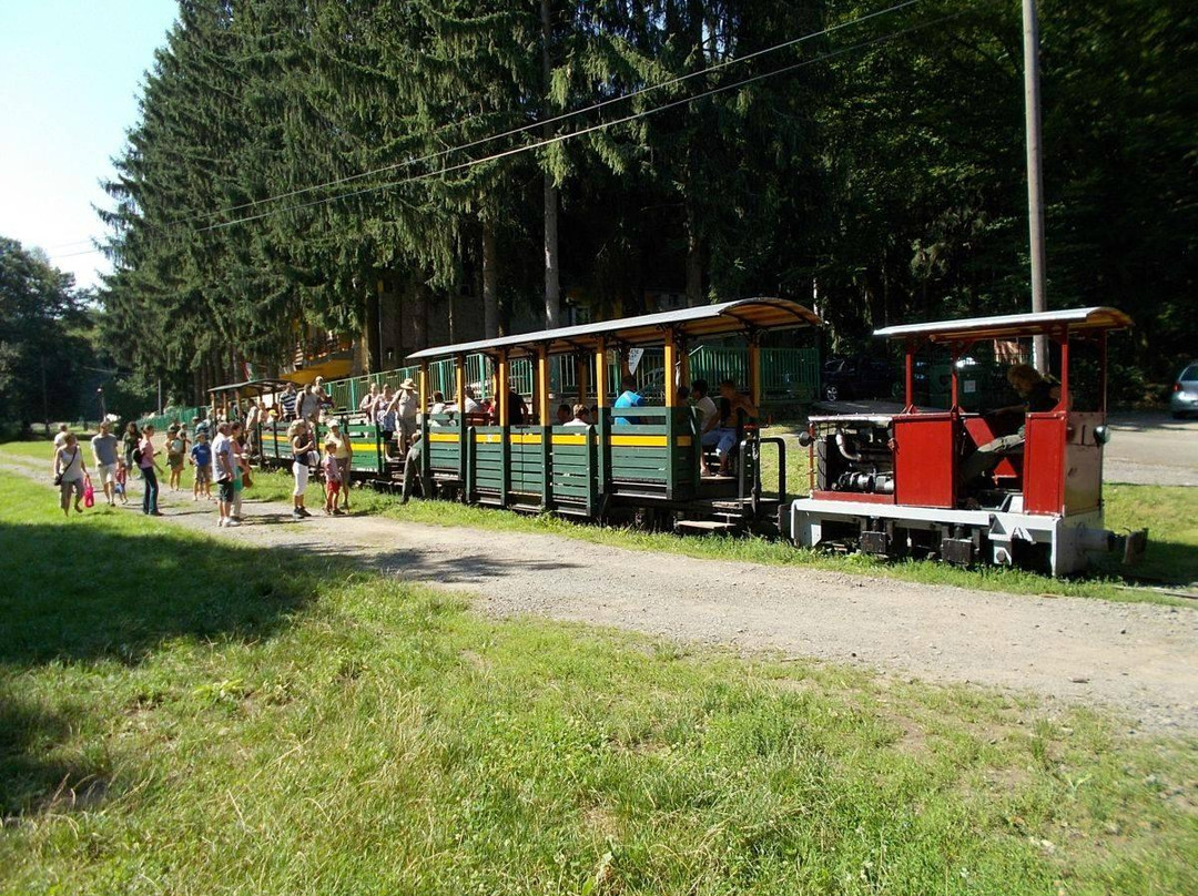 Kemence Forestry Museum Railway-Kemence必去景点