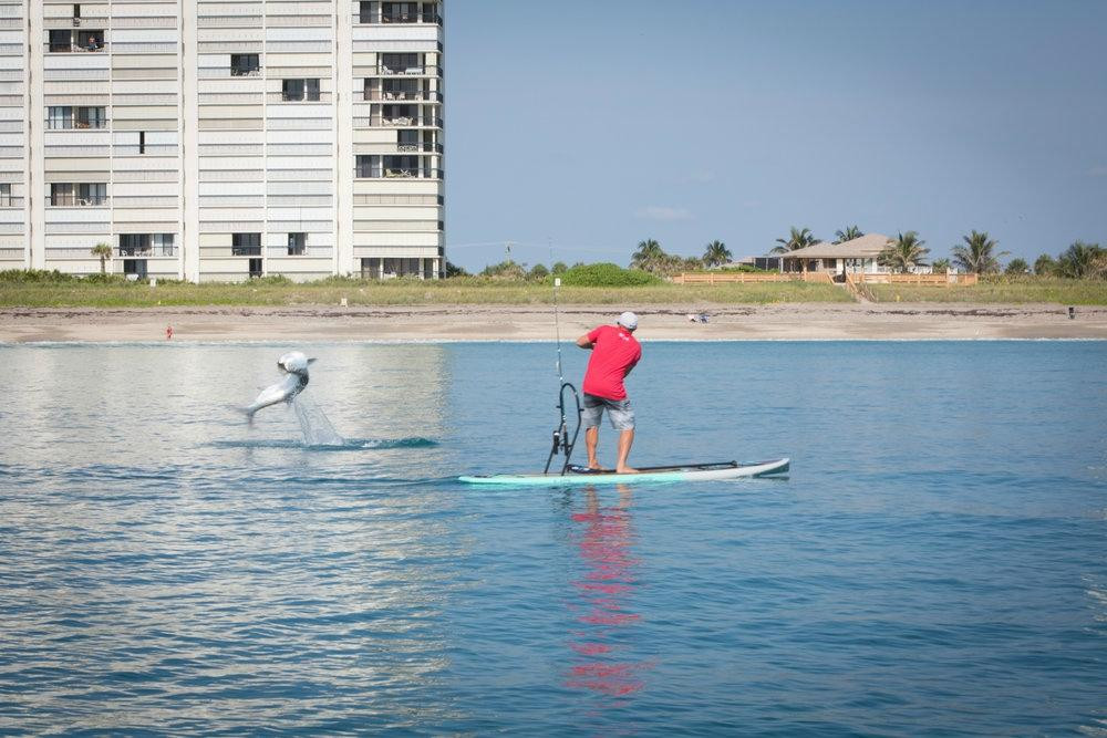 Liquid Aloha Paddle Co.-斯图尔特必去景点