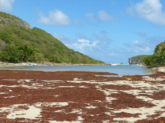 Lagon de la Porte d'Enfer-Anse-Bertrand必去景点