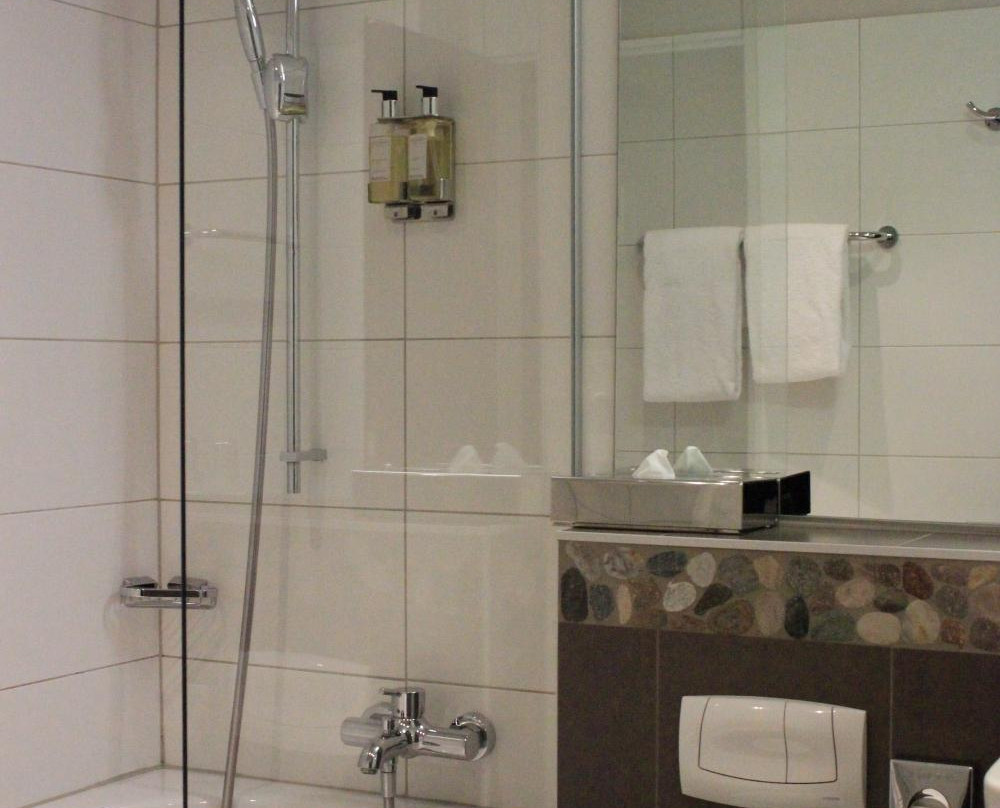 Hotel Flora Lucerne主图