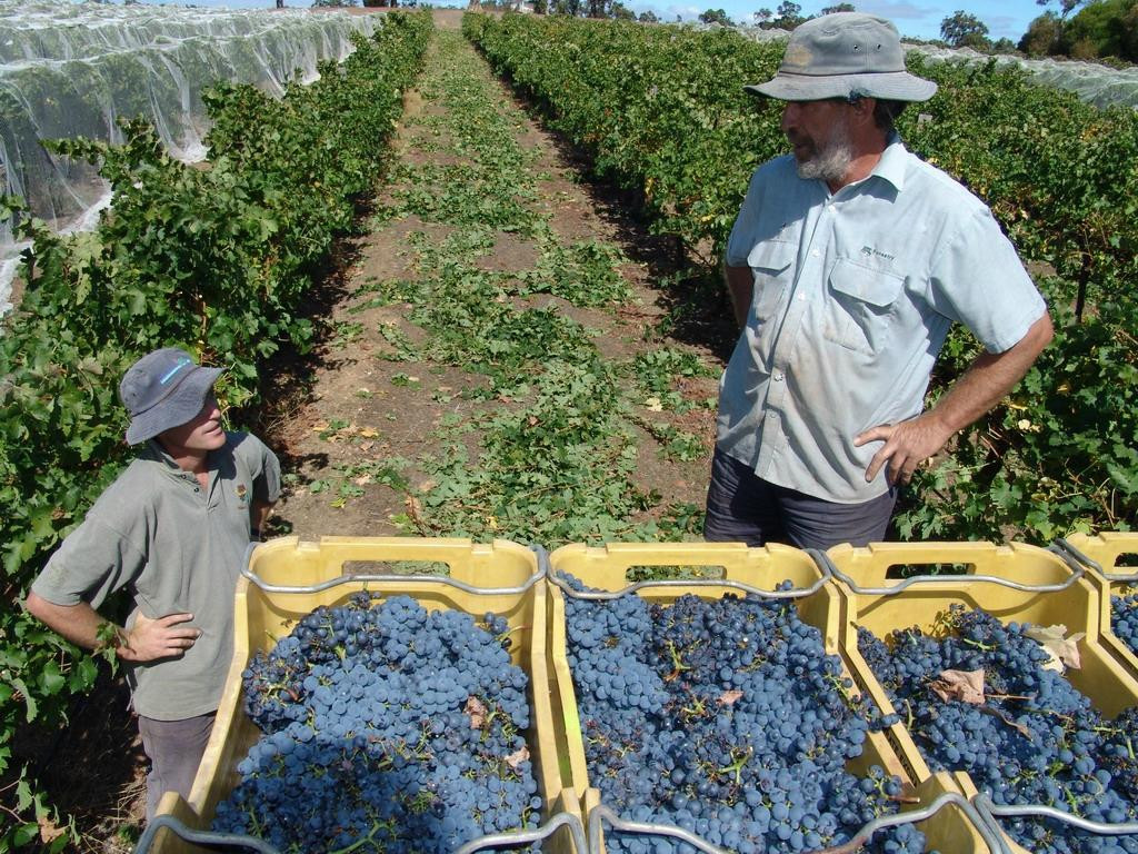 Shedleys-布里奇敦必去景点