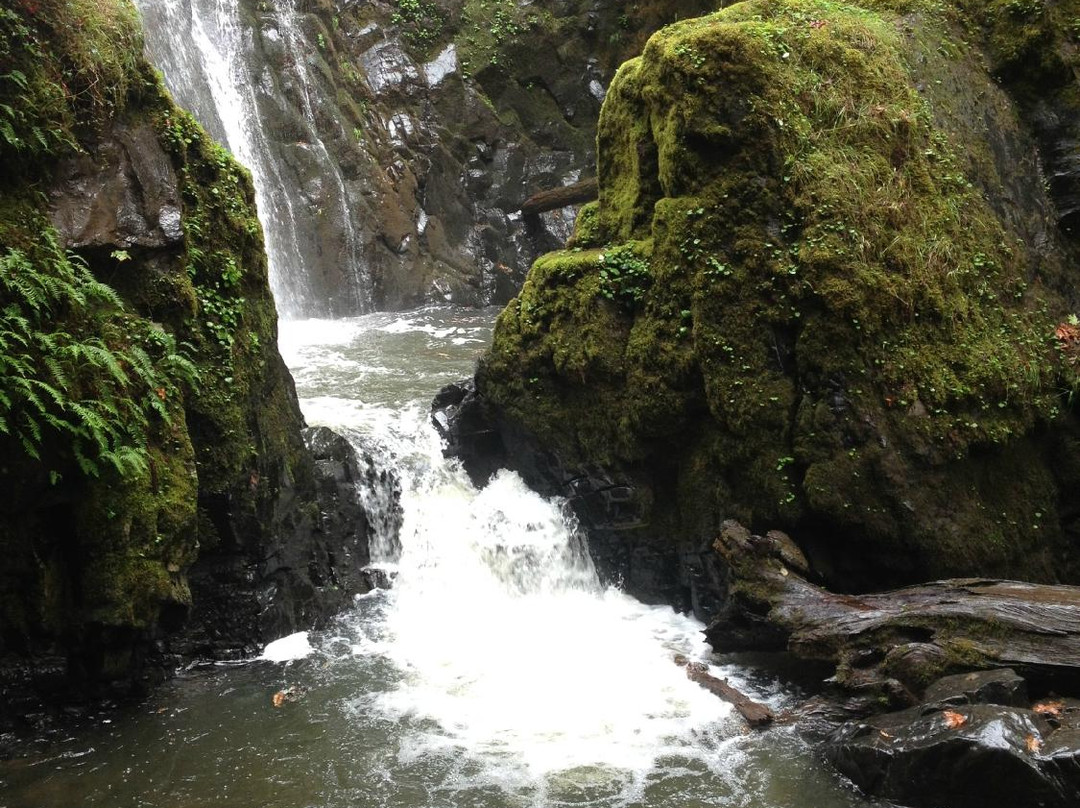Susan Creek Falls景点图片