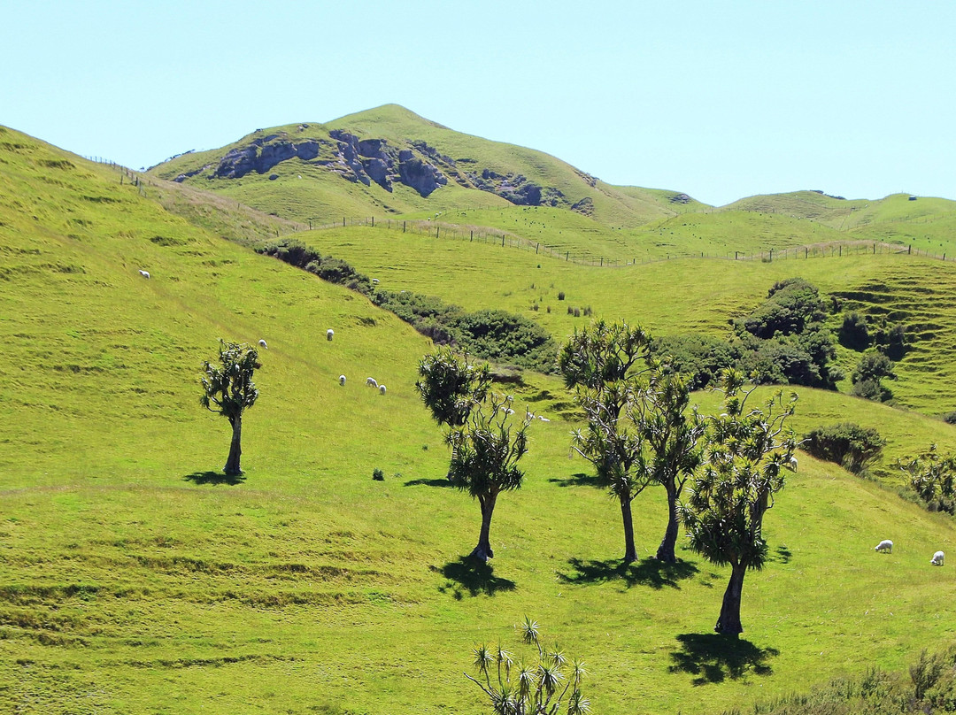 Wharariki Beach Walking Track景点图片