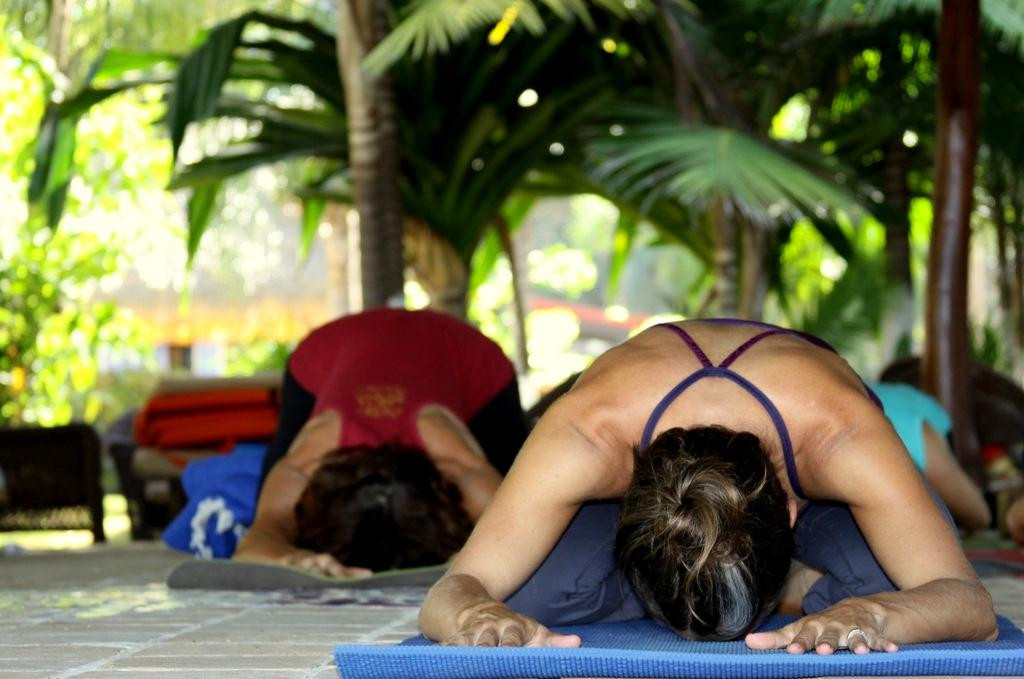 Sattva Yoga-波特雷罗必去景点