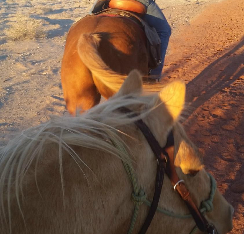 Pot A Gold Stables-拉芙琳必去景点