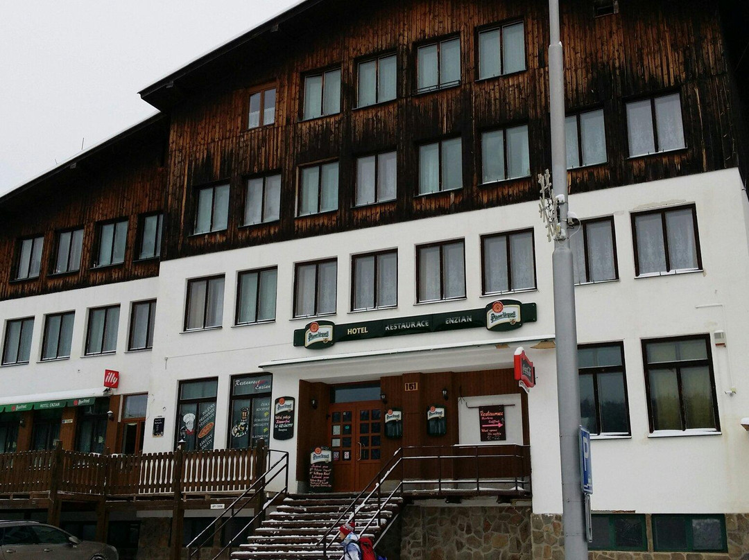 Hotel Enzian