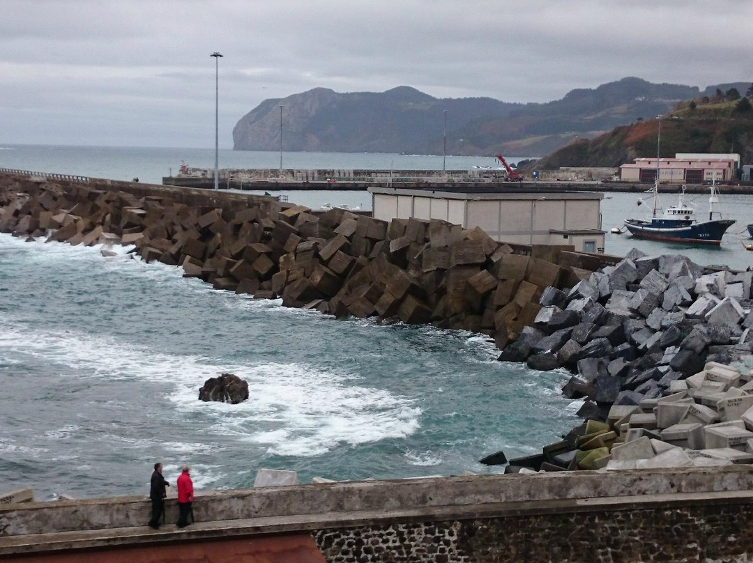 Museo de Pescadores/Arrantzaleen Museoa景点图片