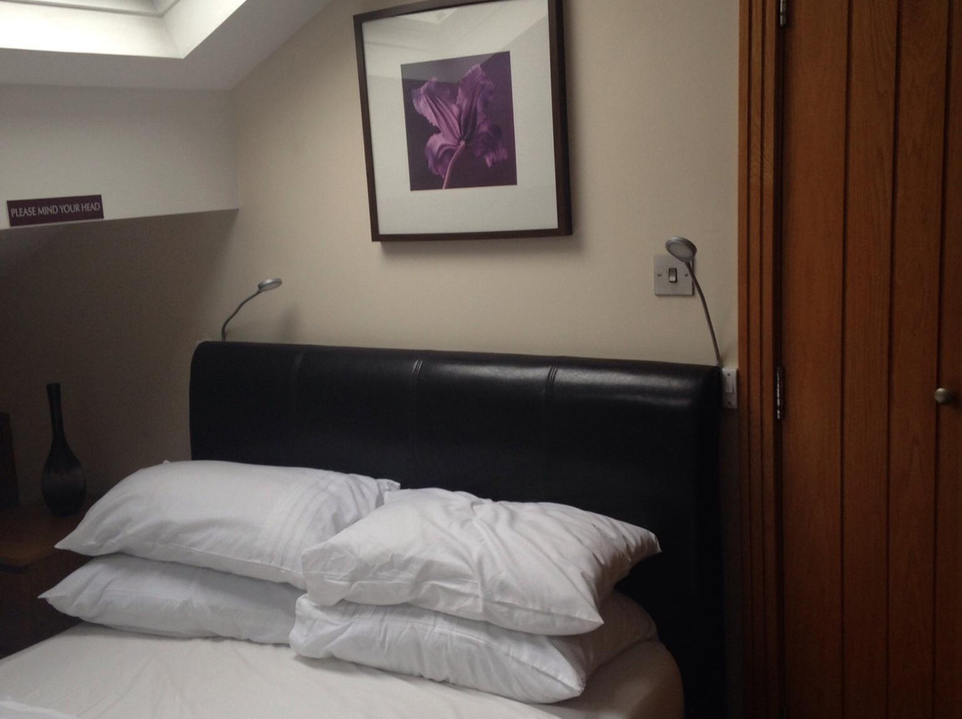 The Arc Hotel