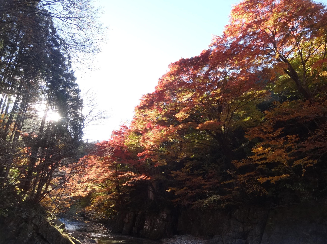 Oashi Canyon-鹿沼市必去景点