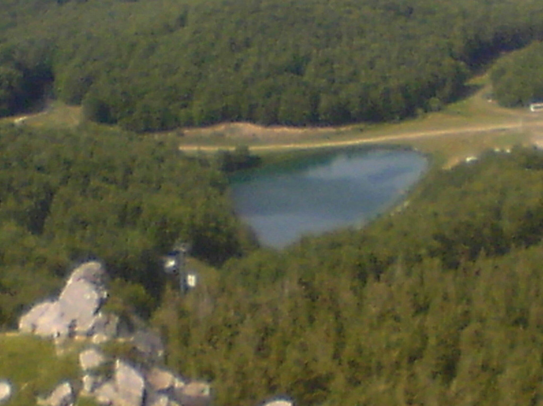 Adventure Park Cimone景点图片