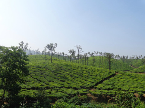 Gayathri Home Stay主图