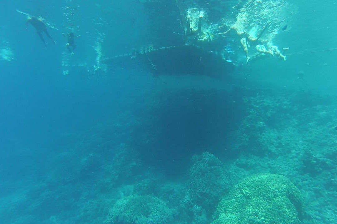 dive1one-沙姆沙伊赫必去景点