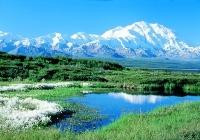 Adventure Alaska Tours景点图片