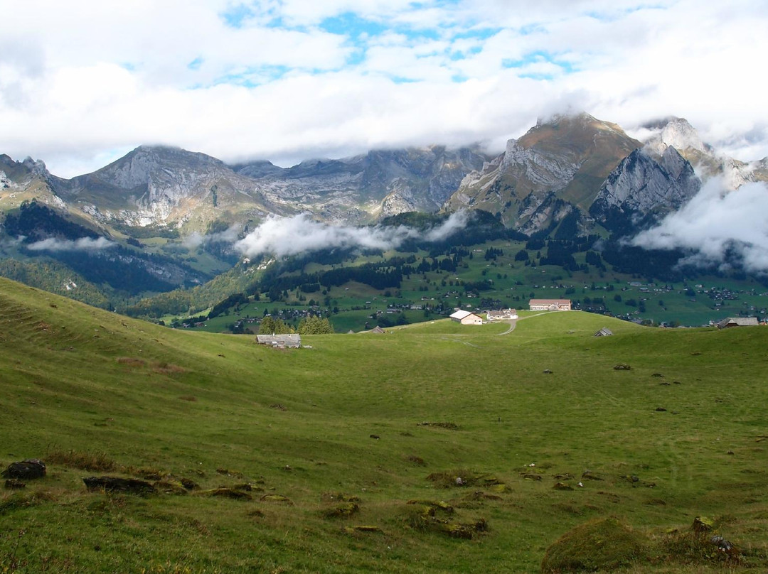 Alt St. Johann旅游攻略图片