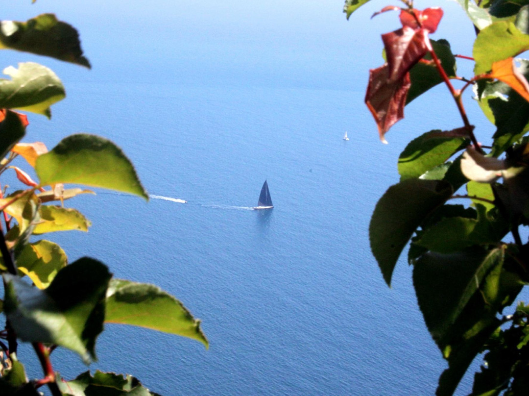 Nocelle酒店住宿-Villa Antica Macina B&B