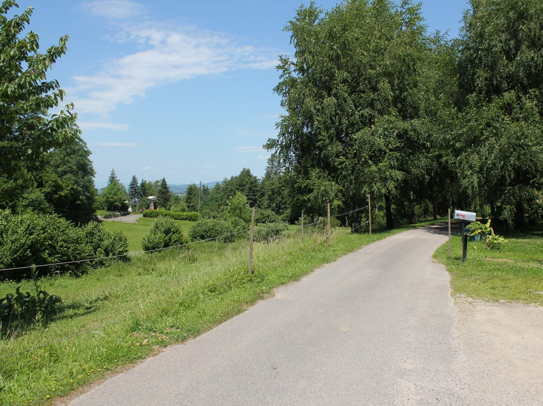 Gästehaus Kaltenbach主图