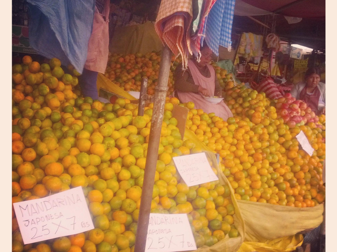 La Cancha-科恰班巴必去景点