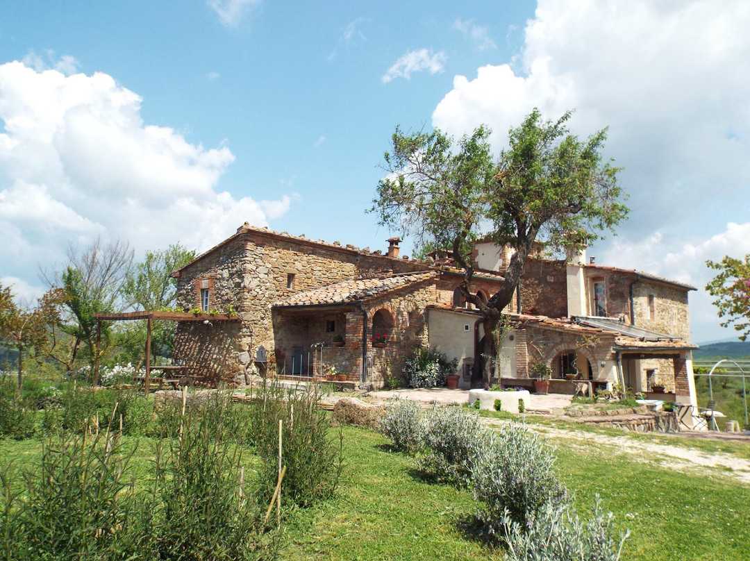 Podere Timignano