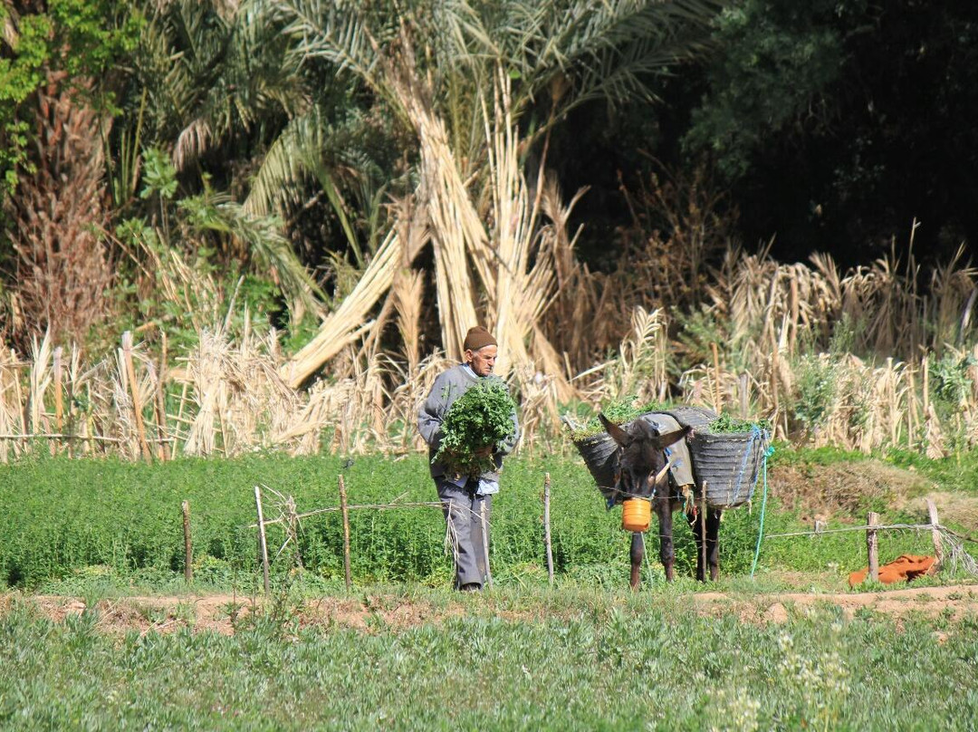 Abdel - Guide Randonnees a Tinghir-廷吉尔必去景点