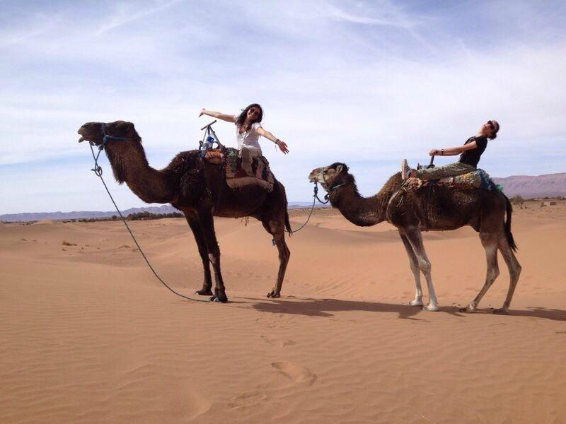 Sahara Spirit Voyage Day Tours-瓦尔扎扎特必去景点
