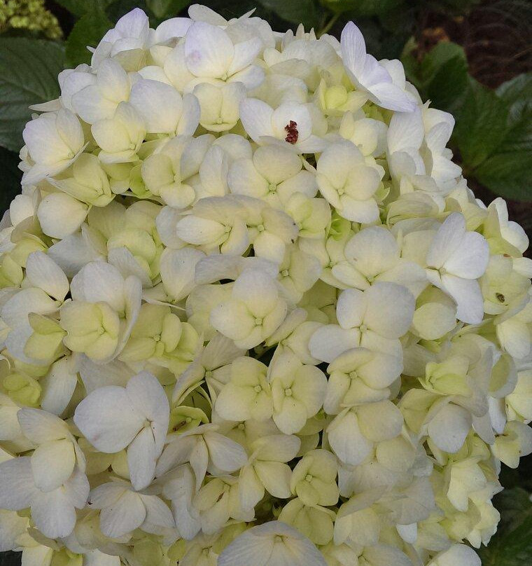 大叻情人谷-大勒必去景点