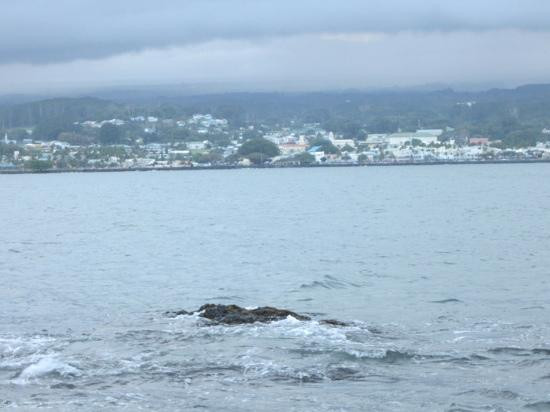 椰子岛-希洛必去景点